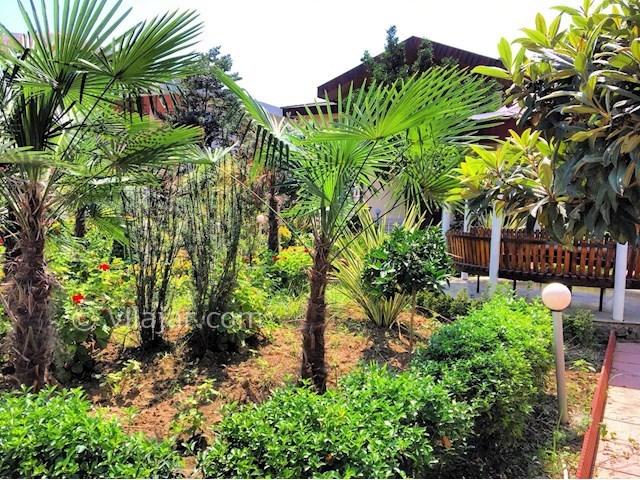 عکس شماره 437131 - ویلا با استخر و سونا و جکوزی - 