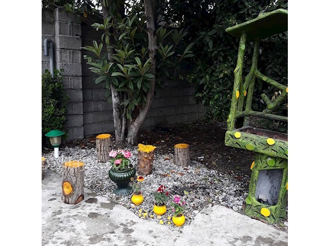 عکس شماره 437877 - اجاره ویلای حیاط دار رامسر - 