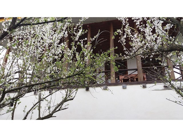 عکس شماره 438049 - اجاره عمارت سنتی در تالش - 