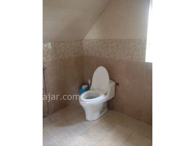 عکس شماره 440879 - اجاره ویلا در بام سبز ماسال -