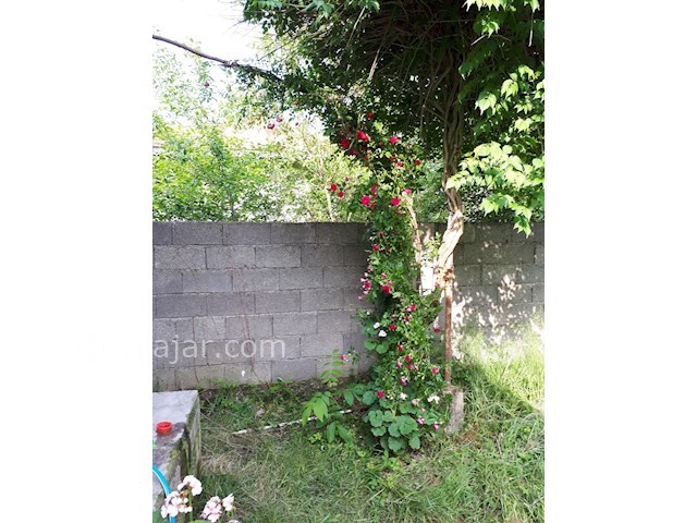 عکس شماره 441721 - اجاره ویلا در ماسال وشمه سرا - 