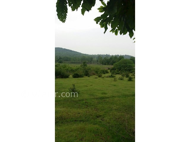 عکس شماره 44179 - رزرو آپارتمان دوهزار تنکابن - 