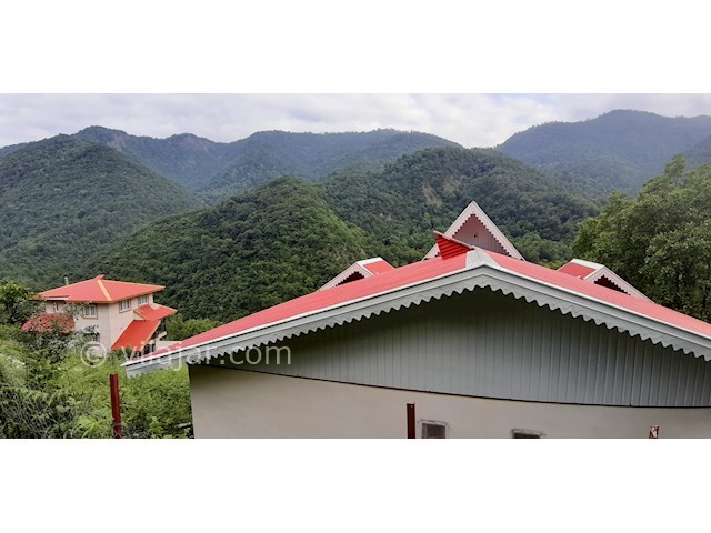 عکس شماره 441889 - اجاره ویلای ییلاقی شمال - 