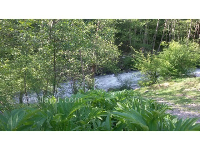 عکس شماره 44205 - رزرو آپارتمان دوهزار تنکابن - 