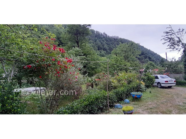 عکس شماره 442637 - کرایه ویلای جنگلی لب رودخانه - 