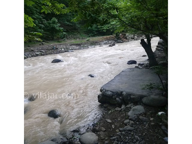عکس شماره 443107 - ویلا جنگلی در جاده اسالم - 