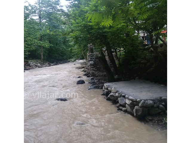 عکس شماره 443109 - ویلا جنگلی در جاده اسالم - 