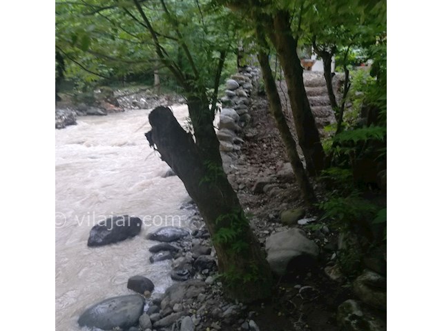 عکس شماره 443111 - ویلا جنگلی در جاده اسالم - 