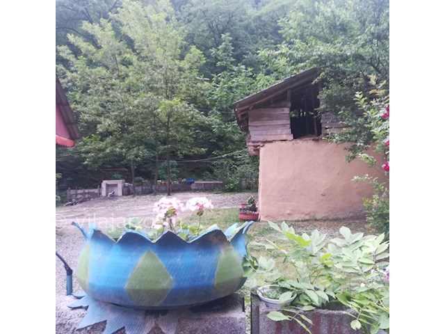 عکس شماره 443119 - ویلا جنگلی در جاده اسالم - 