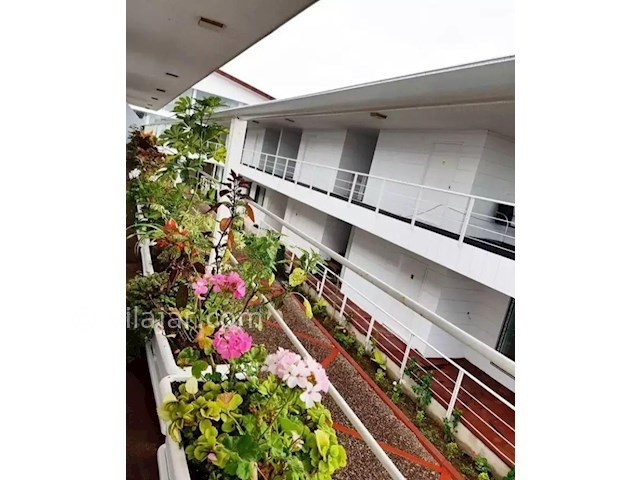 عکس شماره 444023 - رزرو مجتمع ساحلی در زیباکنار -