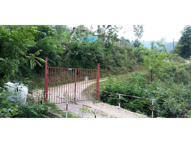 عکس شماره 445273 - کرایه ویلای جنگلی نزدیک فومن - 