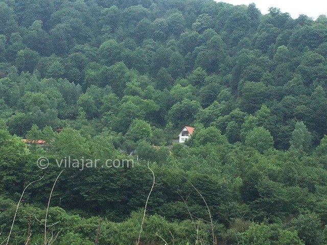 عکس شماره 447031 - اجاره ویلا در جوارم با استخر آبگرم - 