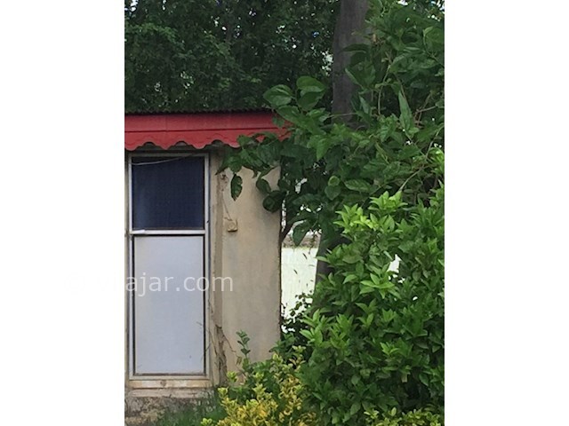 عکس شماره 447097 - اجاره خانه روستایی در گیلان - 