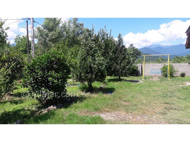 عکس شماره 447993 - اجاره ویلا ماسال در وشمه سرا - 