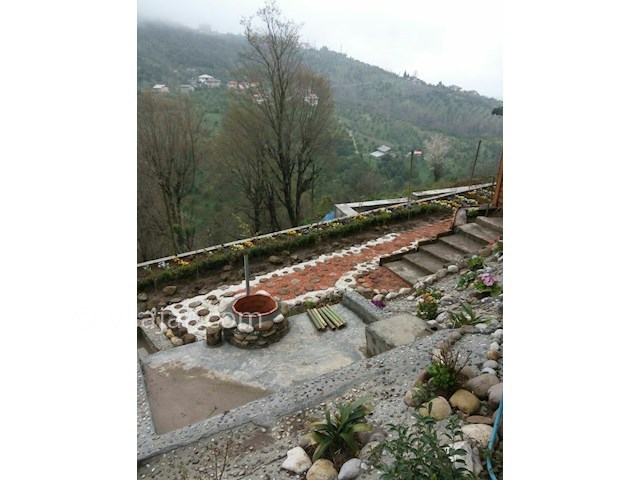 عکس شماره 44865 - اجاره کلبه چوبی جنگلی رامسر - 