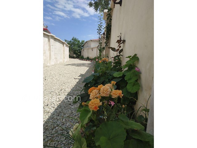 عکس شماره 449121 - اجاره ویلا با استخر در رامسر -