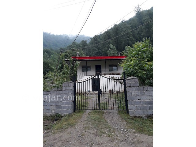 عکس شماره 449697 - اجاره ویلا در جنگل سه هزار - 