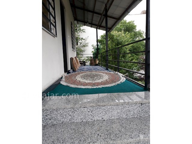 عکس شماره 449715 - اجاره ویلا در جنگل سه هزار - 