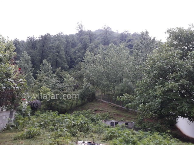 عکس شماره 449717 - اجاره ویلا در جنگل سه هزار - 