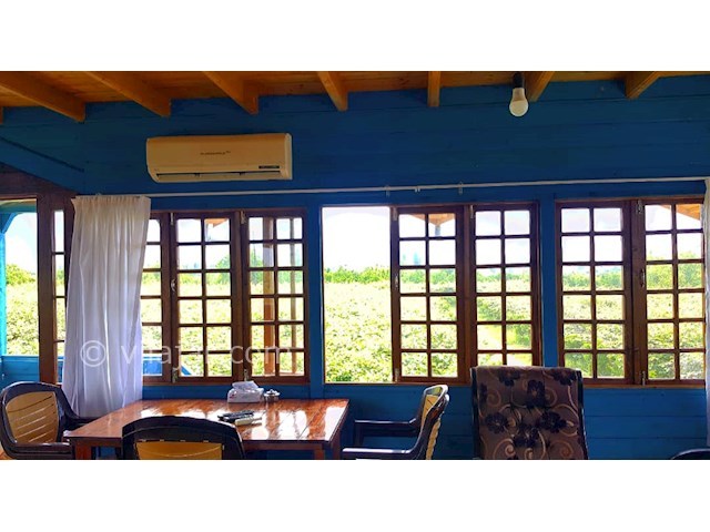 عکس شماره 451427 - رزرو خانه باغ سنتی در تنکابن - 