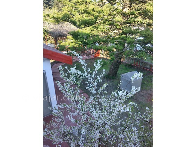 عکس شماره 45323 - اجاره ویلا در شهرک دریاکنار - 