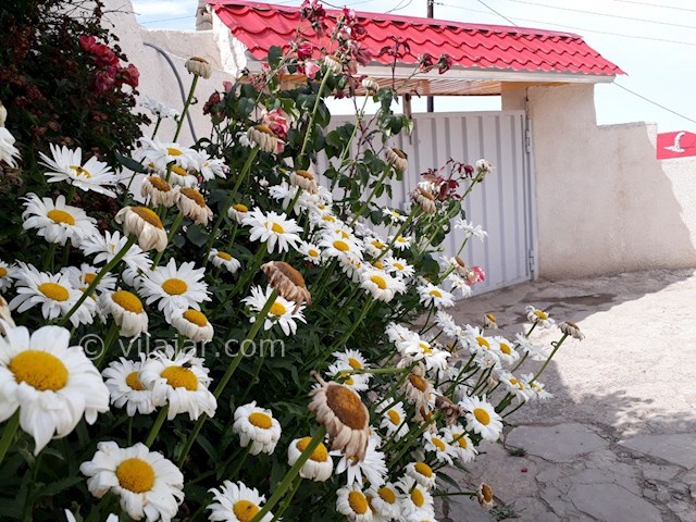 عکس شماره 454803 - ویلا اجاره ای در فیلبند -