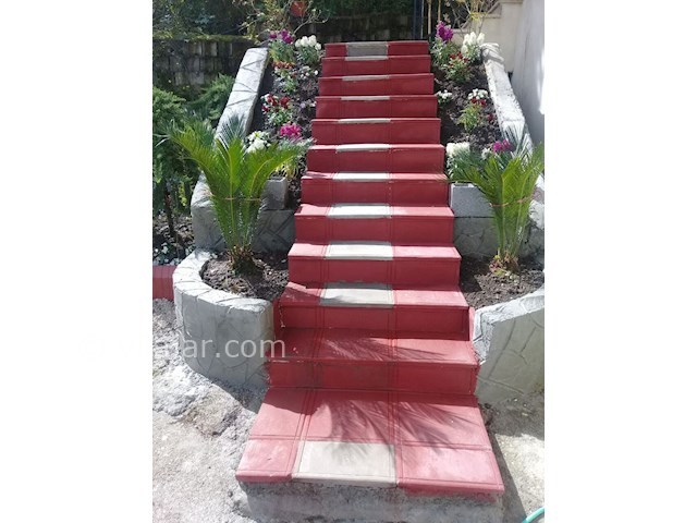 عکس شماره 455649 - اجاره ویلای جنگلی تراس دار - 