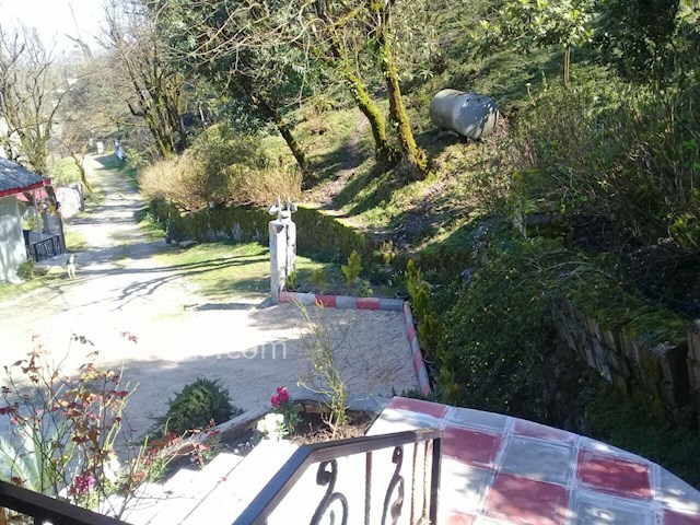 عکس شماره 455667 - اجاره ویلای جنگلی تراس دار - 