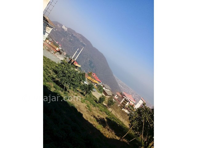 عکس شماره 455671 - اجاره ویلای جنگلی تراس دار - 