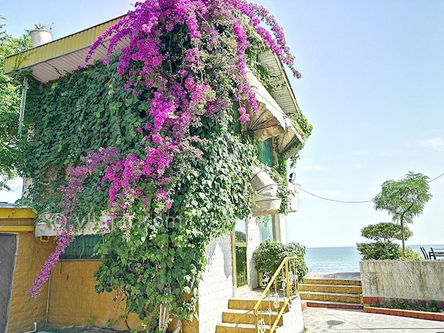 عکس شماره 456363 - اجاره ویلا ساحلی روبه دریا - 