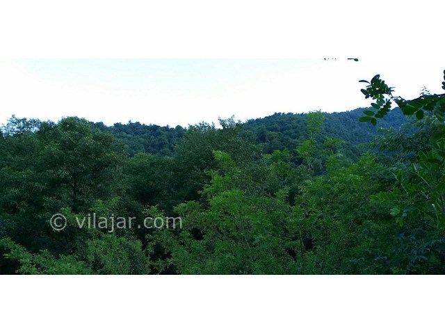 عکس شماره 456629 - اجاره ویلای چوبی در ماسال - 