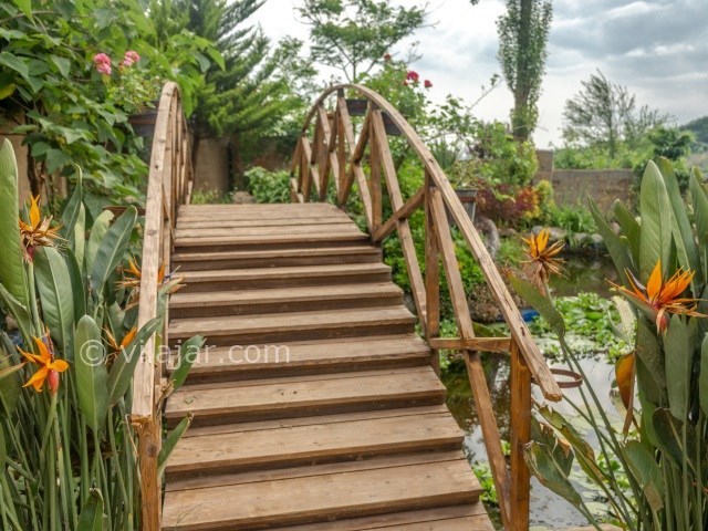 عکس شماره 456975 - ویلای گل شمعدانی رامسر با استخر - 