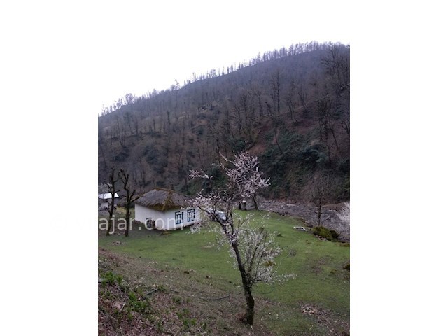 عکس شماره 457201 - اقامتگاه بوم گردی راستین - 