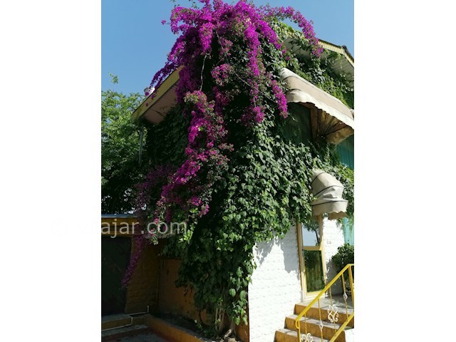 عکس شماره 457699 - اجاره ویلا ساحلی روبه دریا - 