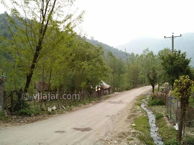 عکس شماره 458781 - اجاره ویلا در ماسال - 