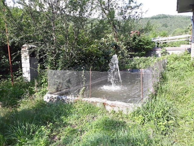 عکس شماره 459721 - ویلا کوهپایه ای در ماسال -