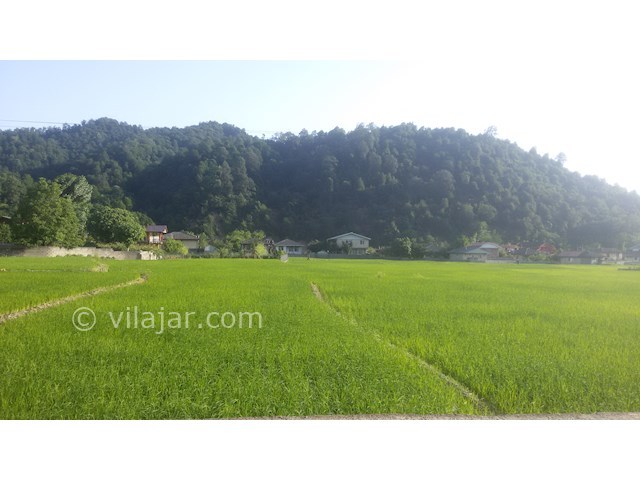 عکس شماره 460119 - اقامتگاه بوم گردی اسالم - 