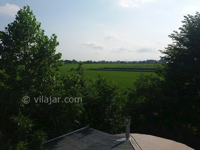 عکس شماره 460187 - ویلای اجاره ای در ماسال -