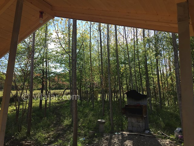 عکس شماره 461843 - اجاره کلبه چوبی جنگلی در شاندرمن -