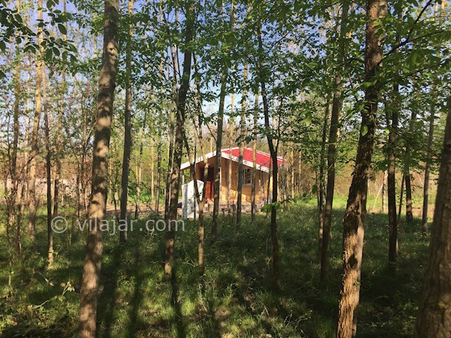 عکس شماره 461845 - اجاره کلبه چوبی جنگلی در شاندرمن -