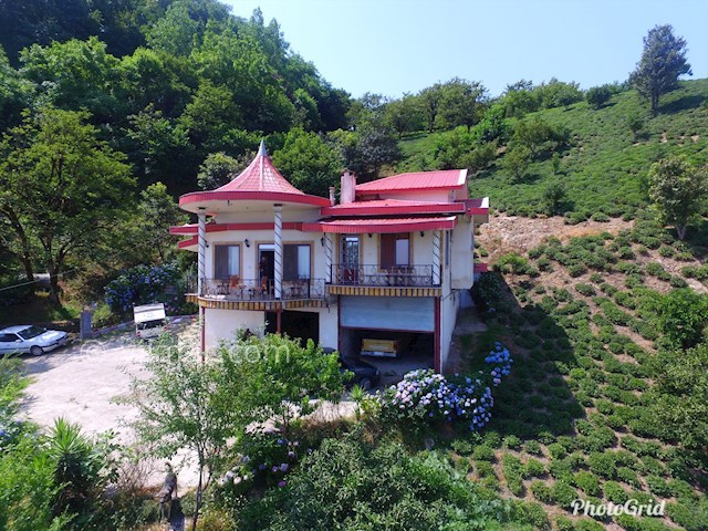 عکس شماره 463675 - اجاره ویلای جنگلی تراس دار - 