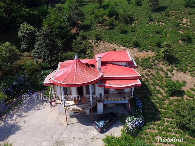 عکس شماره 463679 - اجاره ویلای جنگلی تراس دار - 