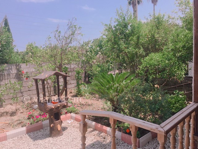 عکس شماره 463817 - ویلا با استخر و جکوزی در رامسر - 