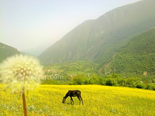 عکس شماره 464819 - اجاره ویلا در ییلاق مریان - 