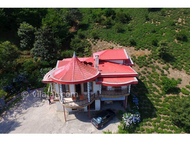 عکس شماره 465037 - اجاره ویلای جنگلی تراس دار - 