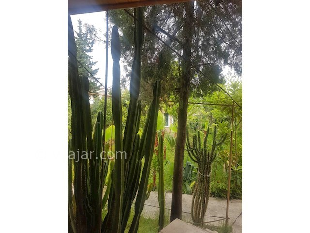 عکس شماره 466907 - اجاره ویلا باغ استخردار سرخرود - 