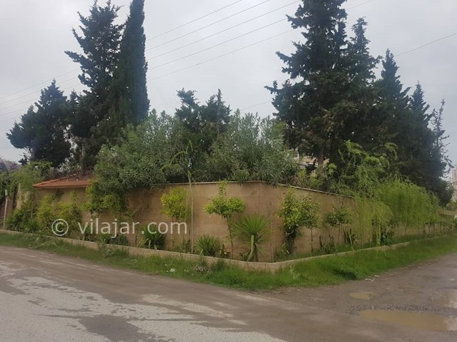 عکس شماره 466915 - اجاره ویلا باغ استخردار سرخرود - 