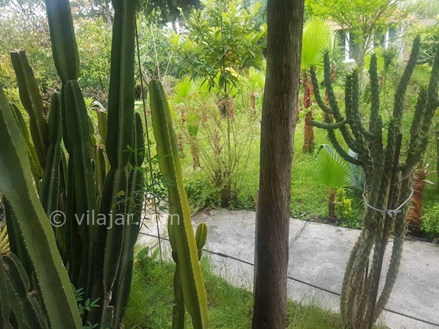 عکس شماره 466969 - اجاره ویلا باغ استخردار سرخرود - 