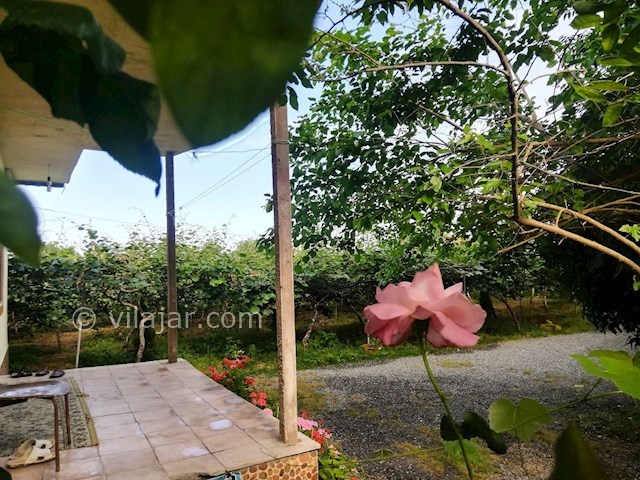 عکس شماره 468269 - اجاره ویلا باغ در تالش - 