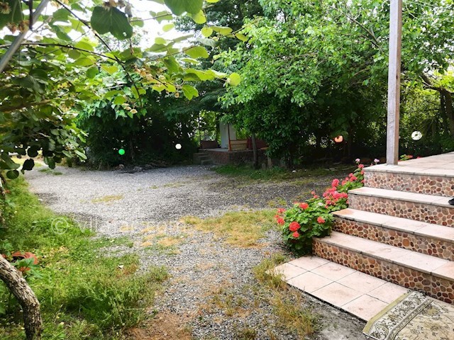 عکس شماره 468273 - اجاره ویلا باغ در تالش - 